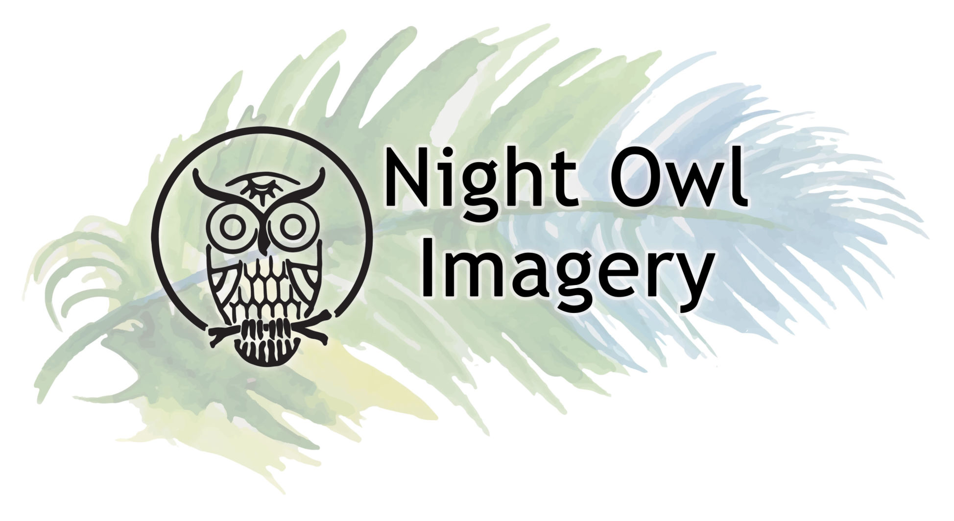 Night Owl LOGO USE THIS.jpg